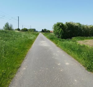 Hazebrouck et ses alentours - Hazebrouck - 5