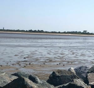 De La Rochelle vers Châtelaillon-plage en longeant le littoral - La Rochelle - 3