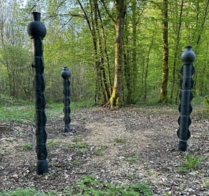 En terre du "Vent des Forêts" - Nicey-sur-Aire - 5