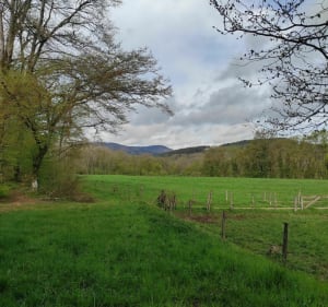 En passant par les Chapelles par Oberwald - Guewenheim - 5