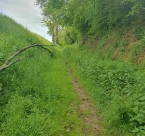 Le Bourg, Les Grandes Ternes et Sensas Park de Ligny - Pouligny-Notre-Dame - 4