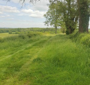 Le Bourg, Les Grandes Ternes et Sensas Park de Ligny - Pouligny-Notre-Dame - 5