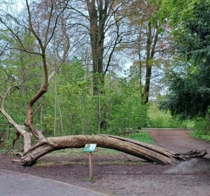 Balade le long des canaux et dans les bois de la citadelle - La Madeleine - 5