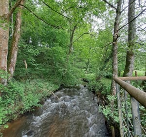 Au fil de l'eau de la rivière Beuvron à Saint-James - Saint-James - 4