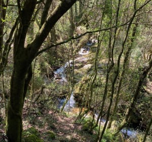 Golfviscascade - Moca-Croce - 4