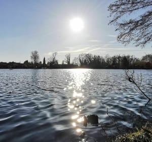 A la frontière de l'eau atour d'Aubigny-au-Bac - Aubigny-au-Bac - 5