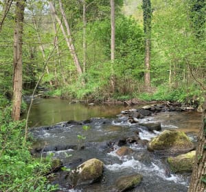 Saint Amant Tallende Gorges de la Monne - Saint-Amant-Tallende - 3