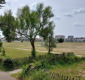 Promenade dans les marais jusqu'au barrage des vallées - Saint-Gilles-Croix-de-Vie - 4