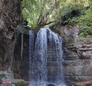 Boucle autour de la Cascade de la Roche et ses deux étangs - Saint-Baudille-de-la-Tour - 3