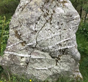 A la rencontre des Menhirs des Grées - Guipry-Messac - 5
