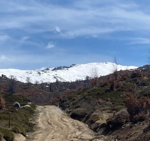 Cuscionu-plateau, tot aan de schaapskooi I Croci - Zicavo - 3