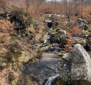 Cuscionu-plateau, tot aan de schaapskooi I Croci - Zicavo - 5