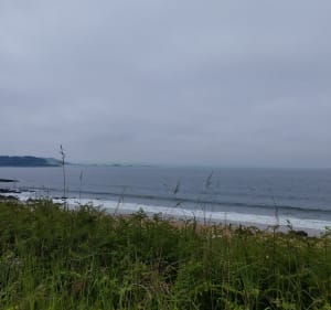 De Lannion aux plages de "l'ouest" - Lannion - 3