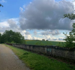 Autour de Chaumes-en-Brie, via Viaduc et Grange Saint-Père - Chaumes-en-Brie - 3