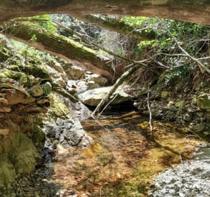 Randonnée de 8 cols autour du village de SERVIES - Avène - 4