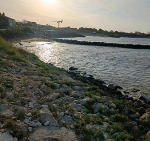 Balade à Chatellallion plage - Châtelaillon-Plage - 4