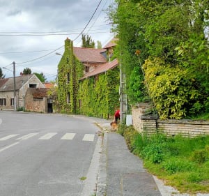 Randonnée à Pringy - Pringy - 4