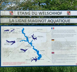 Étang du Welschhof à Puttelange-aux-Lacs - Puttelange-aux-Lacs - 4