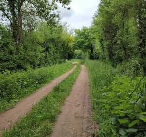 Petite balade autour d'Amné - Amné - 3