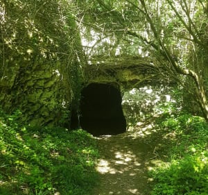 Balade à Saint-Aubin-sur-Gaillon par le Bois de Brillehaut à vélo - Cécilia - 3