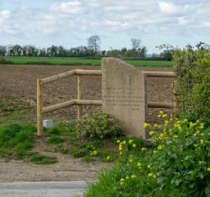 Dans les chemins de Sainte-Mère-Église et Baudienville - Sainte-Mère-Église - 3