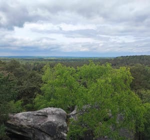 Promenade des Gorges de Franchard - Fontainebleau - 4