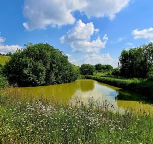 Balade sur les Coteaux de la terre Patrie d'Alfred de Vigny - Champagne-Vigny - 5