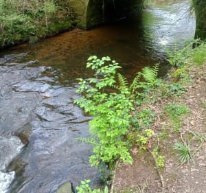 Boucle par Locminé, Plumelin et Moustoir-Ac le long du Tarun - Locminé - 3