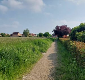 Boucle Serris Magny-le-Hongre - Serris - 4
