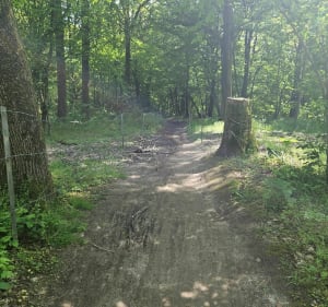 Promenade au départ de Camblain-l'Abbé - Max - 3