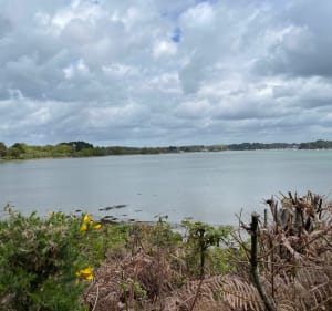 Van Larmor Baden naar Port Blanc en verder via het kustpad - Larmor-Baden - 4