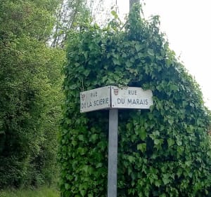Juziers, Mézy-sur-seine, Hardricourt et bords de Seine - Juziers - 5