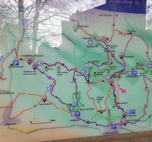 Dambach-la-ville / Bernstein / Rochers des celtes / Dieffenthal - Dambach-la-ville - 4