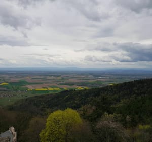 Dambach-la-ville / Bernstein / Rochers des celtes / Dieffenthal - Dambach-la-ville - 5