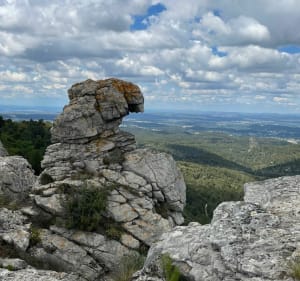 De septèmes les vallons au Pilon du Roy - Septèmes-les-Vallons - 5