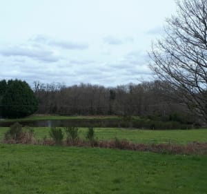 Chamborêt - par monts et par vaux - Chamboret - 4