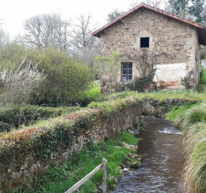 Chamborêt - par monts et par vaux - Chamboret - 5