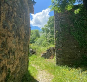 Pic et grotte d'Anjeau depuis la cascade de la Vis - Saint-Laurent-le-Minier - 5
