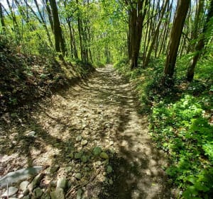 Rando sur les hauts de Poisat - Poisat - 5