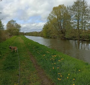Réserve naturelle de Pantegnies - Pont-sur-Sambre - 4