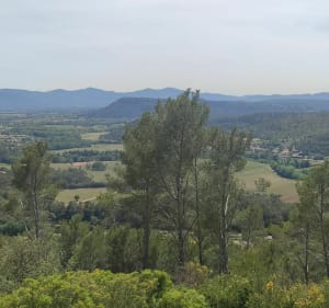 L'oppidum de Taradeau - Taradeau - 5