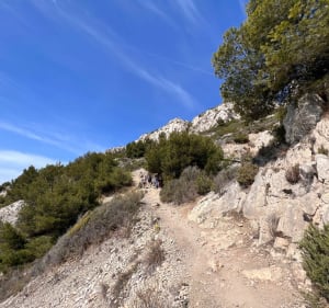 Randonnée à Ensues-la-Redonne entre terre et mer. - Ensuès-la-Redonne - 5