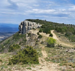 Belle balade sur les hauteurs de Mazaugues par la Petite Colle - Mazaugues - 4