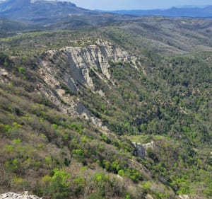 Belle balade sur les hauteurs de Mazaugues par la Petite Colle - Mazaugues - 5