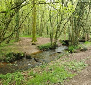 Entre routes et chemins à travers les forêt, par l'Hermain et Caranné - Le Cours - 4