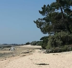 Zoutmoerassen en stranden op het Île de Ré - Ars-en-Ré - 4