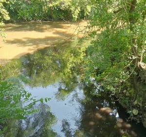 À la campagne trace des Gabarres de la Midouze à Bégaar - Bégaar - 3
