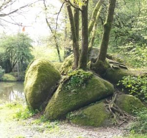 Sur les berges de l'étang du bois Pouvreau - Ménigoute - 3