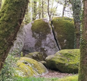 Sur les berges de l'étang du bois Pouvreau - Ménigoute - 4