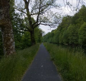 Boucle VTC dans la vallée de l'Ornain - Nançois-sur-Ornain - 4